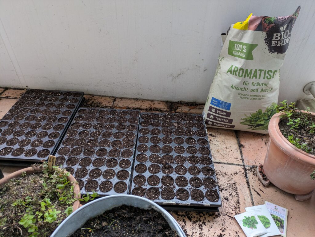 Feldsalat und Romanasalat in Quickpots